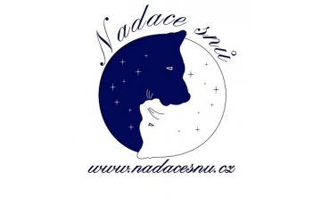 Nadace snů