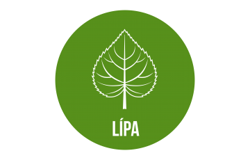 LÍPA komunitní centrum, spolek