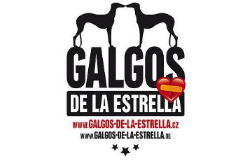 Galgos de la Estrella, z. s.