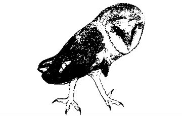 TYTO, z. s.