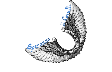 Speranza di Cavalli