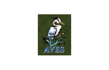 AVES
