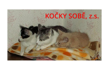KOČKY SOBĚ