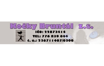 Kočky Bruntál z.s.