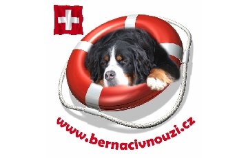 Berňáci v nouzi z. s.