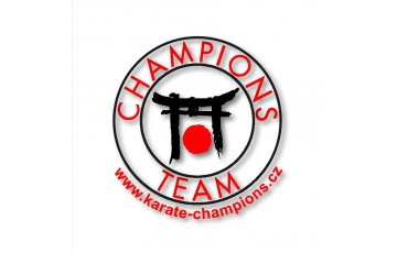 Champions team