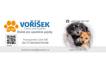 Voříšek - útulek pro psy