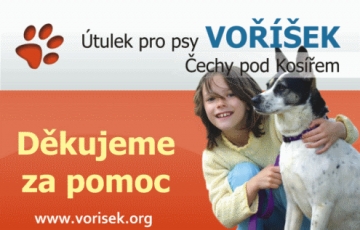 Voříšek - útulek pro psy