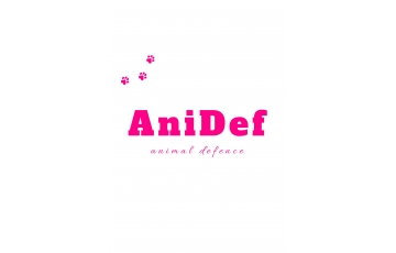 Anidef, z. s.