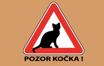 Pozor kočka!
