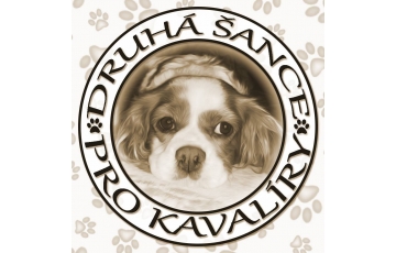 Druhá šance pro kavalíry
