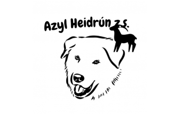Azyl Heidrún z.s.