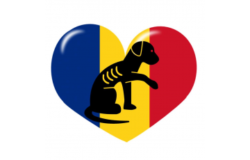 Heart for Romanian dogs z.s.