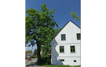Společnost ochránců památek ve východních Čechách