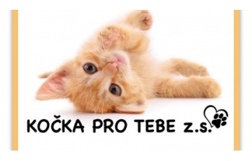 Kočka pro Tebe z.s