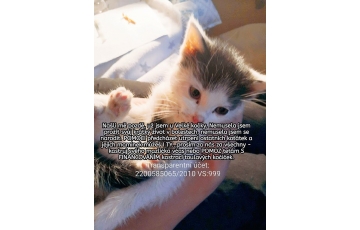Kočíčí školka Most pod spolkem Jasmína z.s.