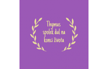 Thymus - spolek dul na konci života
