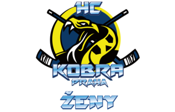 Podpora ledního hokeje žen z. s.