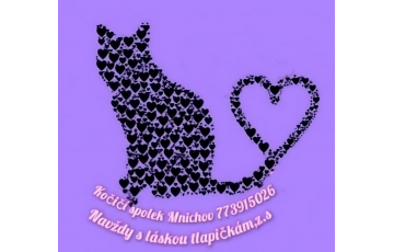 Navždy s láskou tlapičkám, z.s.