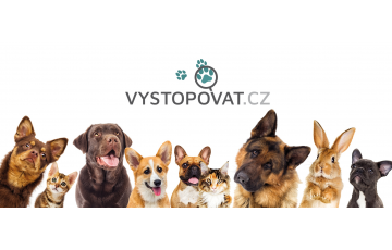 VYSTOPOVAT.CZ, z.s.