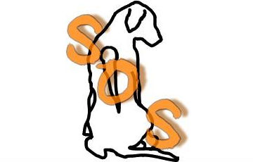 Ridgeback sos, s.z.
