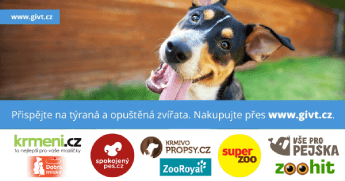Zvířata
